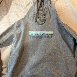 Grey Patagonia woman’s hoodie